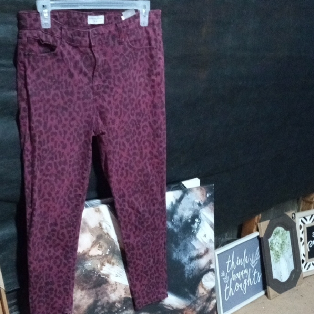 Leopard Print Pants